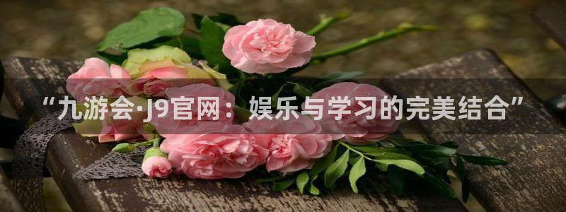 新城平台2体育登录入口：“九游会·J9官网：娱乐与学习的完美结合”