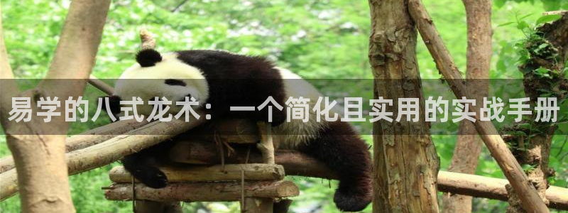 新城平台包怎么样：易学的八式龙术：一个简化且实用的实战手册