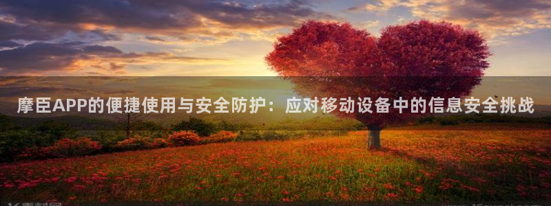 新城平台官网注册：摩臣APP的便捷使用与安全防护：应对移动设备中的信息安全挑战