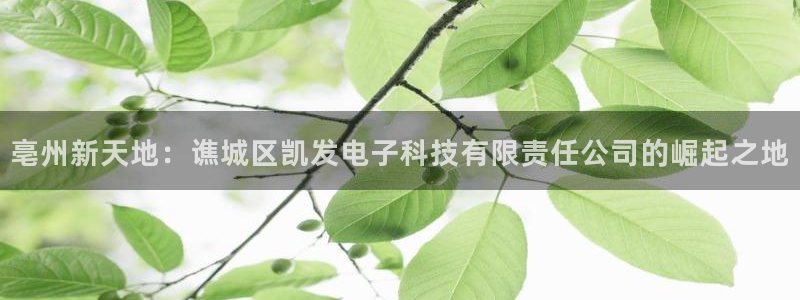 新城平台2体育：亳州新天地：谯城区凯发电子科技有限责任公司的崛起之地