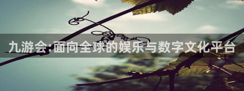 新城平台f平台注册：九游会:面向全球的娱乐与数字文化平台