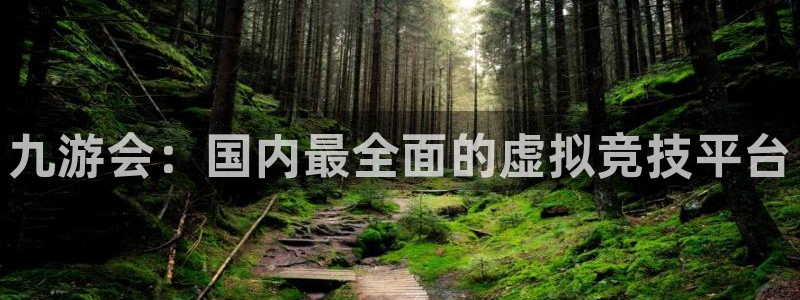 新城平台体育注册代理：九游会：国内最全面的虚拟竞技平台