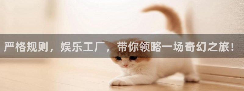 新城平台代理注册官网入口：严格规则，娱乐工厂，带你领略一场奇幻之旅！