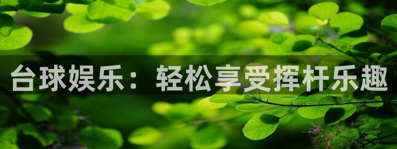 东莞市新城平台电子科技有限公司：台球娱乐：轻松享受挥杆乐趣