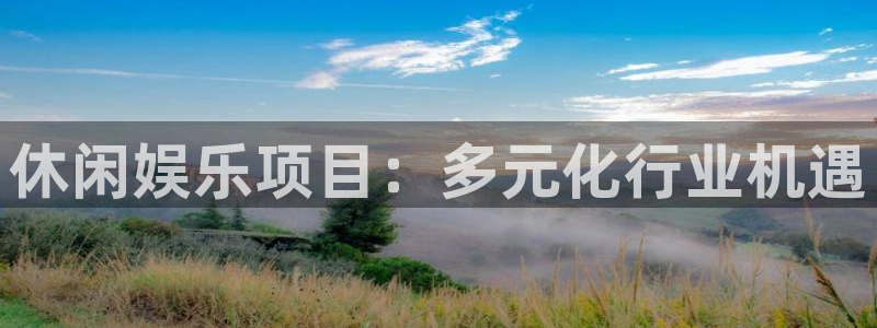 新城平台5招商：休闲娱乐项目：多元化行业机遇