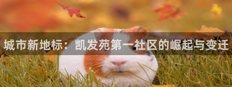 新城平台3官网：城市新地标：凯发苑第一社区的崛起与变迁
