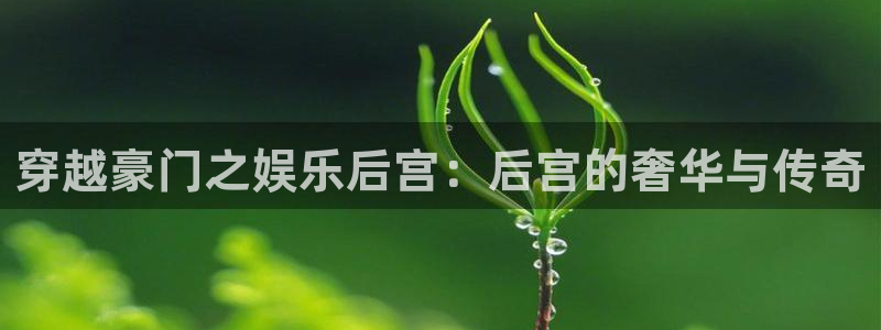 新城平台集团股票：穿越豪门之娱乐后宫：后宫的奢华与传奇