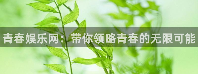 新城平台体育平台总代理：青春娱乐网：带你领略青春的无限可能