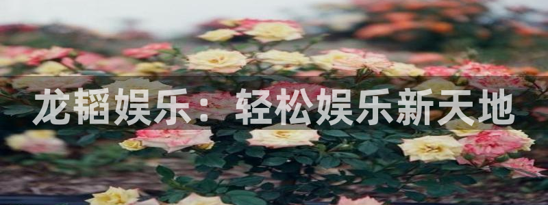 成都新城平台电子有限公司：龙韬娱乐：轻松娱乐新天地