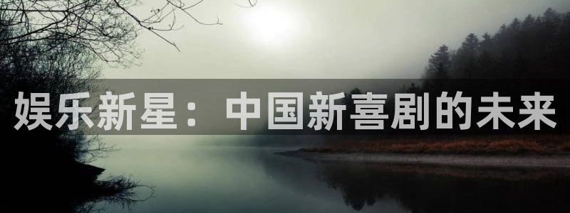 新城平台2登录入口：娱乐新星：中国新喜剧的未来