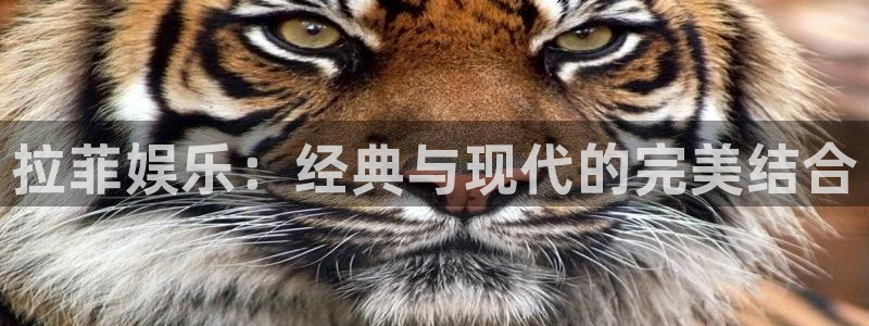 新城平台体育凯捷代理注册：拉菲娱乐：经典与现代的完美结合