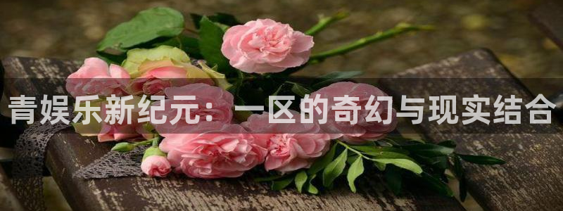 新城平台平台：青娱乐新纪元：一区的奇幻与现实结合