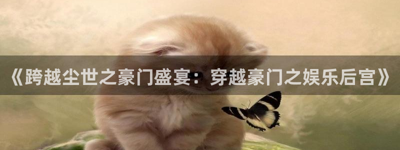 新城平台集团总部：《跨越尘世之豪门盛宴：穿越豪门之娱乐后宫》