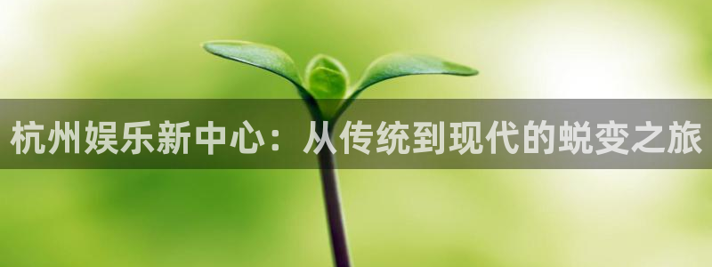新城平台股份：杭州娱乐新中心：从传统到现代的蜕变之旅