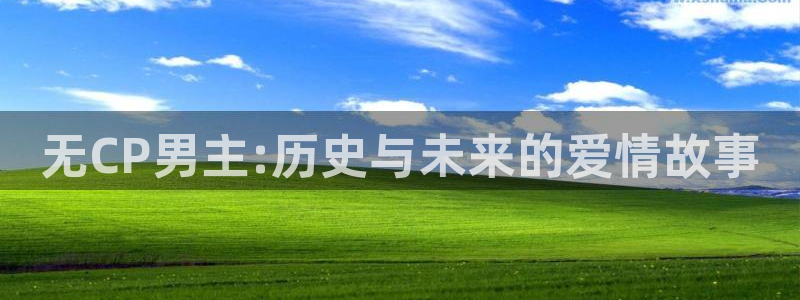 新城平台5：无CP男主:历史与未来的爱情故事