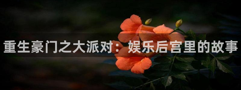 新城平台3代理：重生豪门之大派对：娱乐后宫里的故事