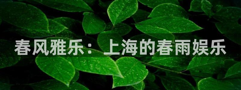 新城平台2平台：春风雅乐：上海的春雨娱乐