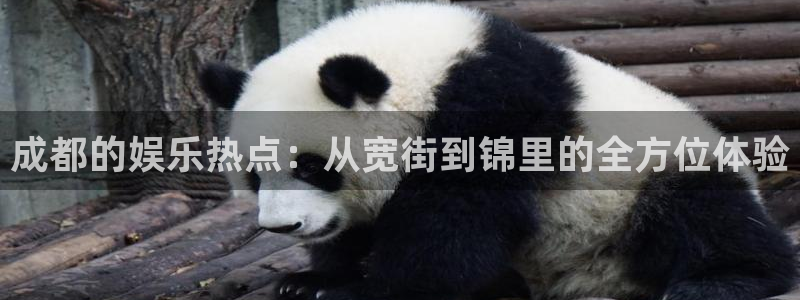 新城平台凯捷平台注册链接：成都的娱乐热点：从宽街到锦里的全方位体验