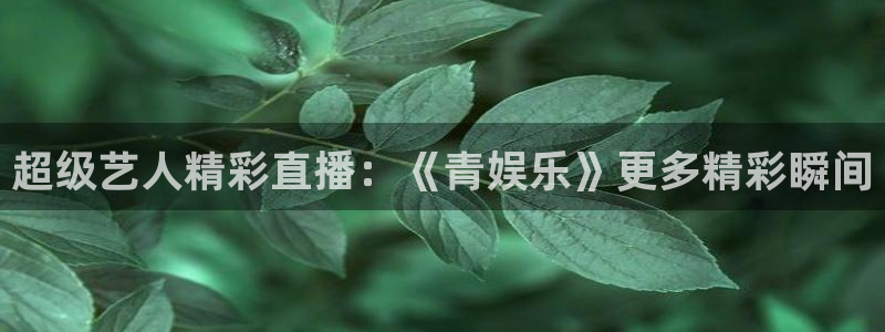 新城平台代理：超级艺人精彩直播：《青娱乐》更多精彩瞬间